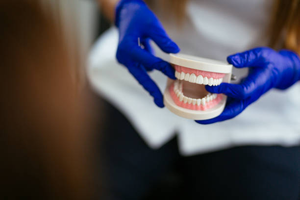 Best Dental Fillings (Composite and Amalgam)  in Brookhaven, PA